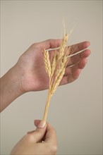 Woman holding a shaft of wheat.