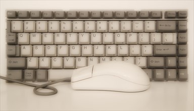 Computer keyboard with mouse.