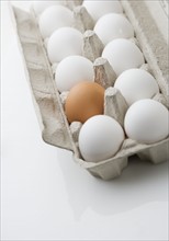 One brown egg in carton.