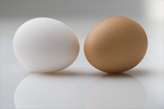 White egg and brown egg.