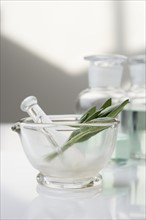 Glass mortar and pestle with herbs.