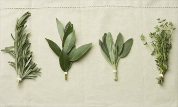 Bundles of herbs on cloth.