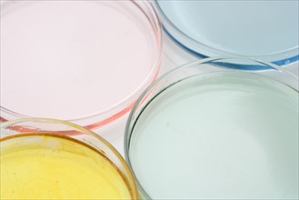 Closeup of petri dishes with liquid.