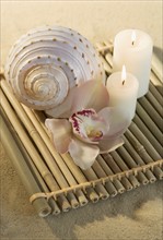 Still life of orchids, candles and seashell.