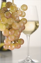 Wine grapes and glass.