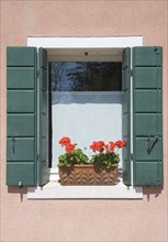 Window box Torcello Italy.