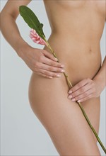 Nude female holding flower.