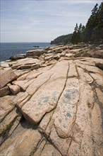 Rocky coast near Otter Cliffs Acadia Maine.