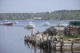 Lobster boats moored along the Maine coast.