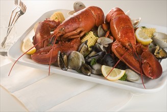Still life of lobster and clams.