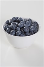 Still life of bowl of blueberries.