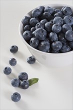 Still life of bowl of blueberries.
