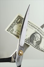 Closeup of scissors cutting money.