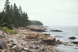 The Maine coast.
