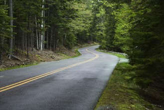Country road in Maine.