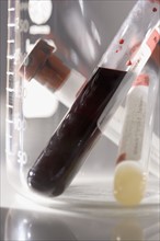 Closeup of blood samples in tubes.
