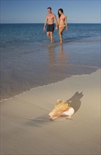 Couple walking the beach.