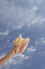 Hand holding conch shell with sky.