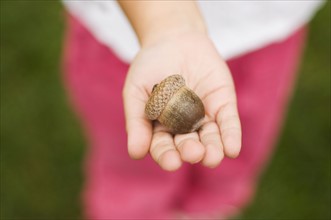 Closeup of an acorn in a childs hand.
