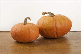 Still life of two pumpkins.