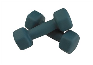 A pair of free weights.