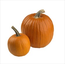 Closeup of a pair of pumpkins.