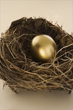 Still life of golden egg in nest.