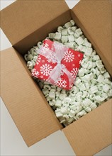 Still life of box of Styrofoam with gift.