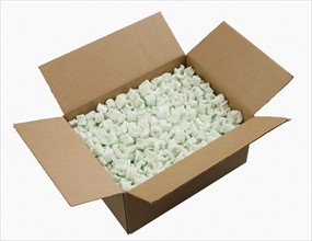 Open box filled with packing peanuts.