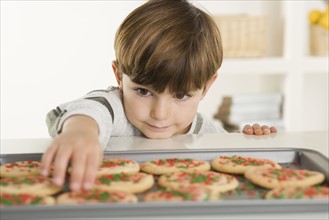 Little boy reaching for a cookies.