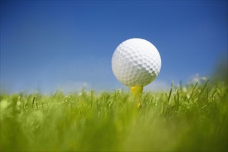 Golf ball on tee in grass outdoors.