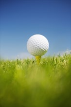 Golf ball on tee in grass outdoors.