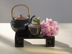 Lacquer Japanese tea set and peony.
