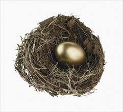 Studio shot of nest with golden egg.