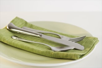 Close up of silverware and napkin on plate.