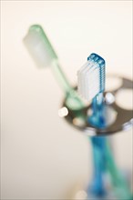 Close up of toothbrushes in holder.