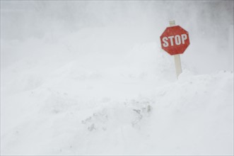Stop sign in snow bank.