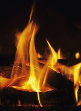 Closeup of fire.