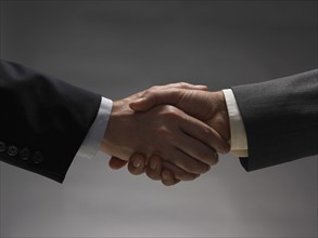 Two men shaking hands.