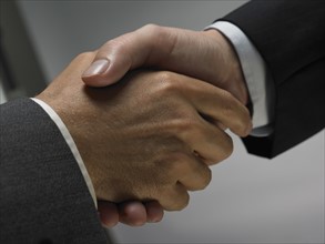 Two men shaking hands.