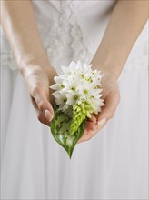 Close up of woman's hands holding flowers.