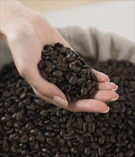 Close up of woman's hand holding coffee beans.