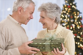 Senior couple holding Christmas gift.