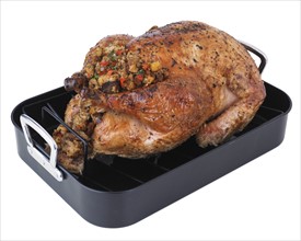 Roasted turkey in pan.