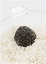 Close up of black truffle in rice.