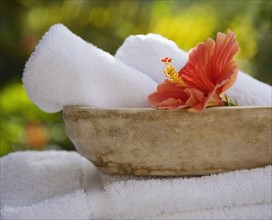 Bowl with rolled towels and flower.