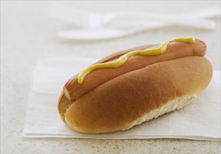 Close up of hot dog in bun.