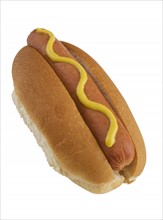 Close up of hot dog with mustard.