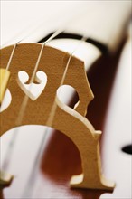 Close up of cello bridge.