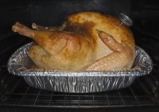 Turkey roasting in oven.